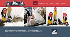 Desktop Screenshot of coelhosdoisirmaos.com.br